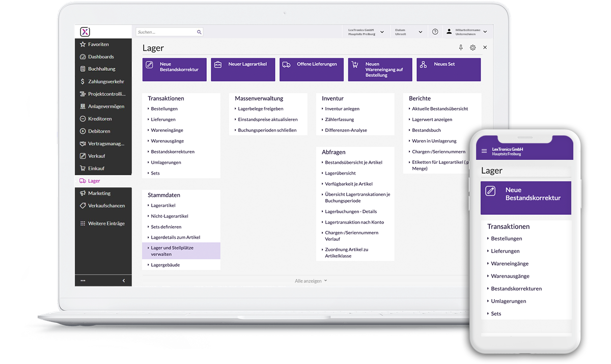 Screenshot Software Haufe X360 Bereich Lager